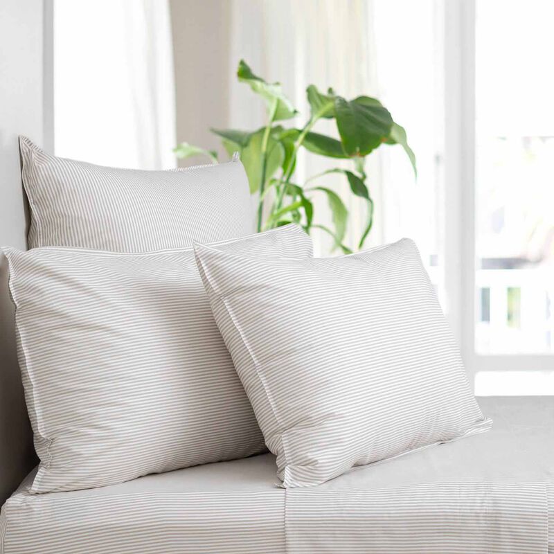 Wallace Cotton Purity Organic Cotton Sheet Set image number 5